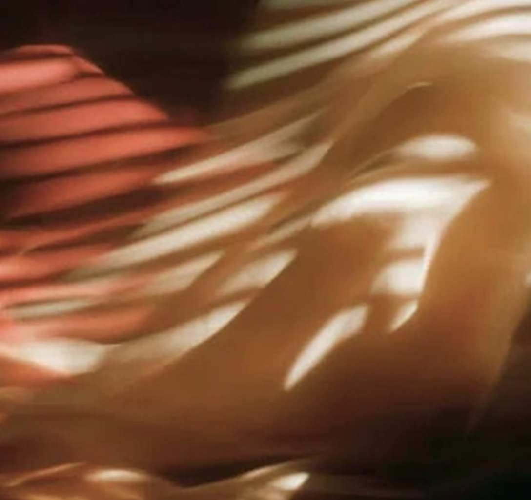 Susanne Aebischer, OEIA